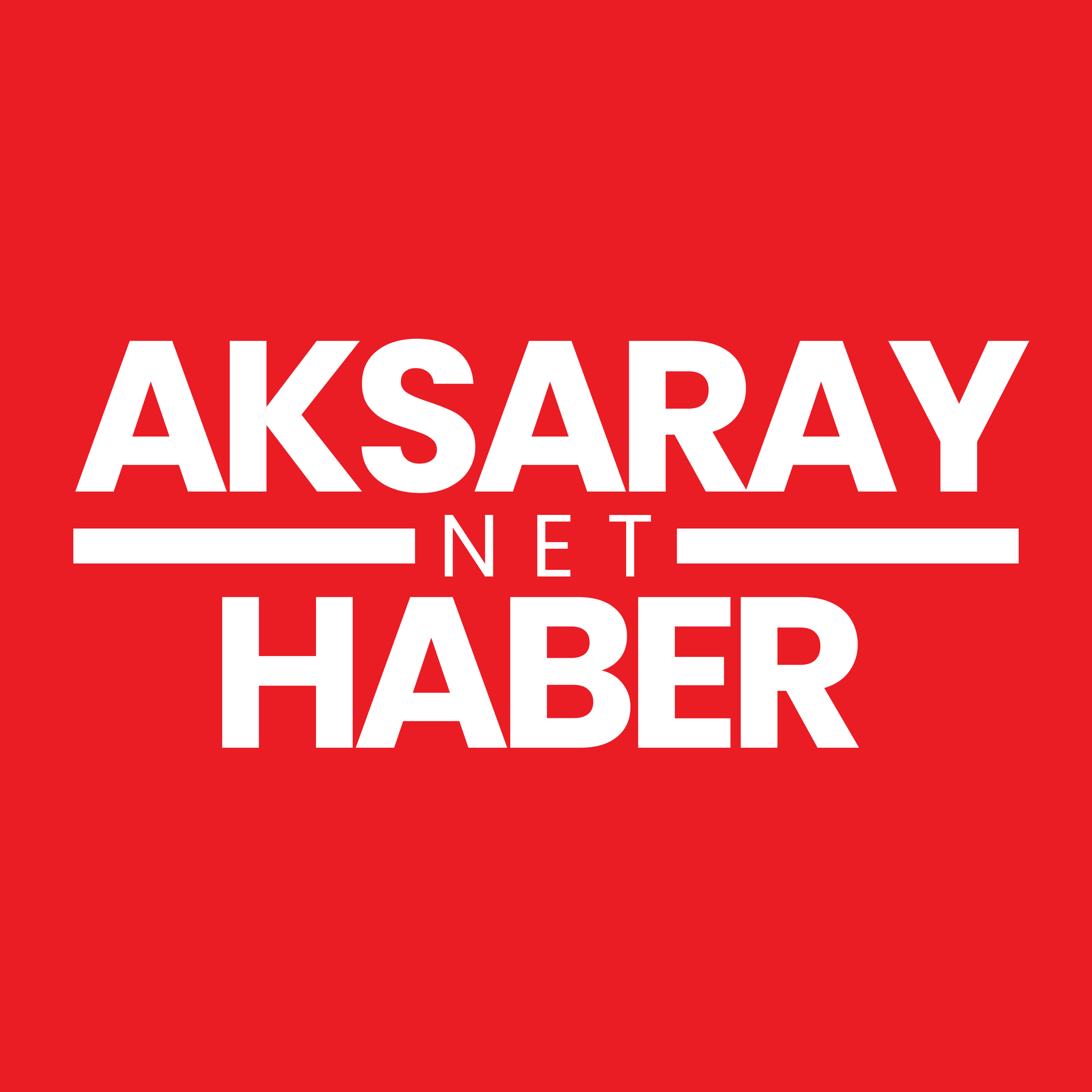 AKSARAY NET HABER LOGO
